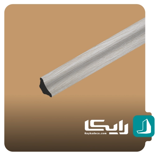 اسکوتی