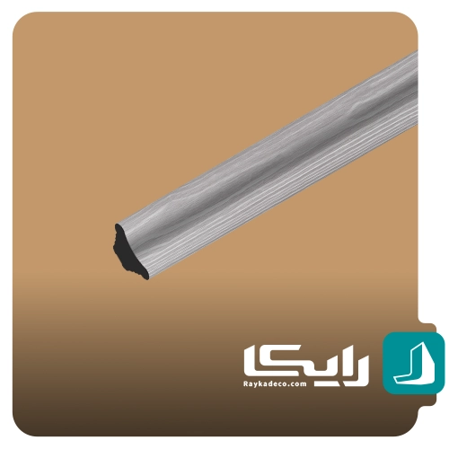 اسکوتی