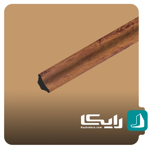 اسکوتی