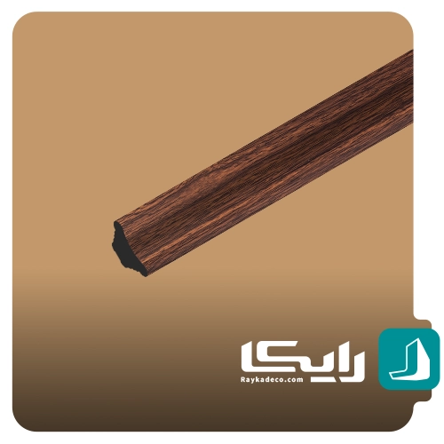 اسکوتی
